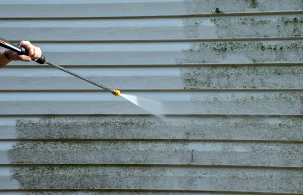 Best Driveway Pressure Washing  in Eldersburg, MD